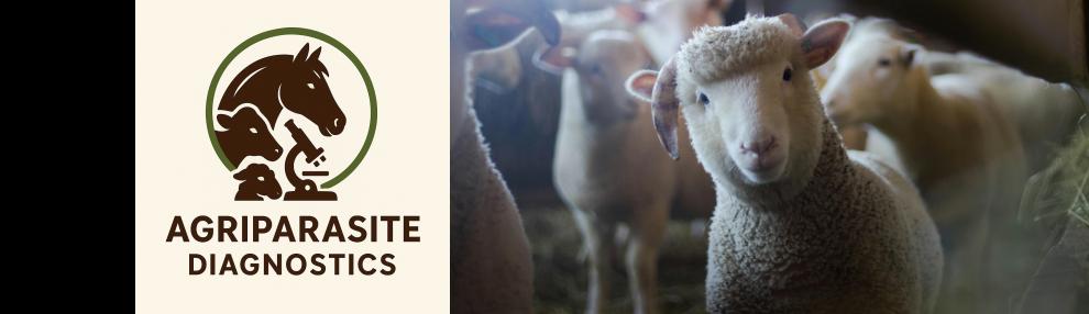 Equine and Livestock Worm Control